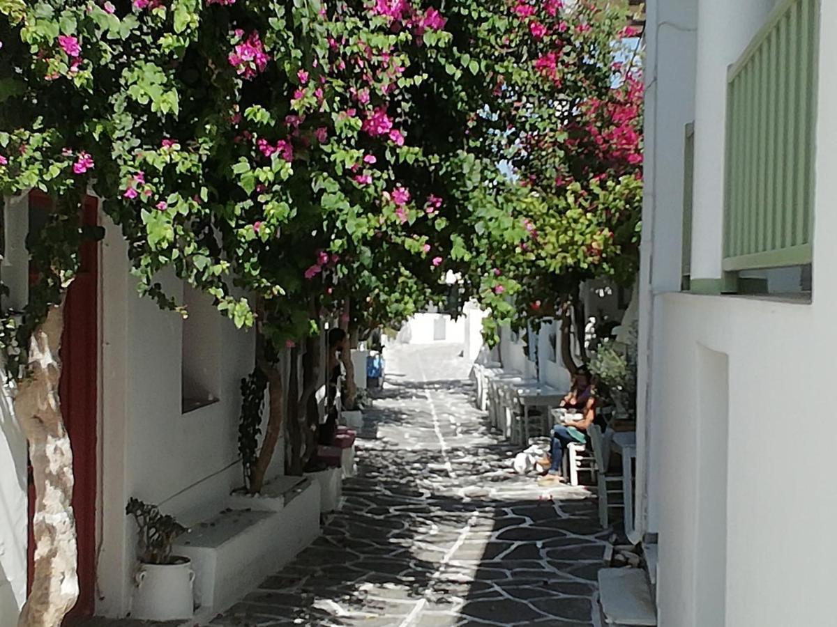 Aparthotel Sunloft-Paros Naoussa Esterno foto