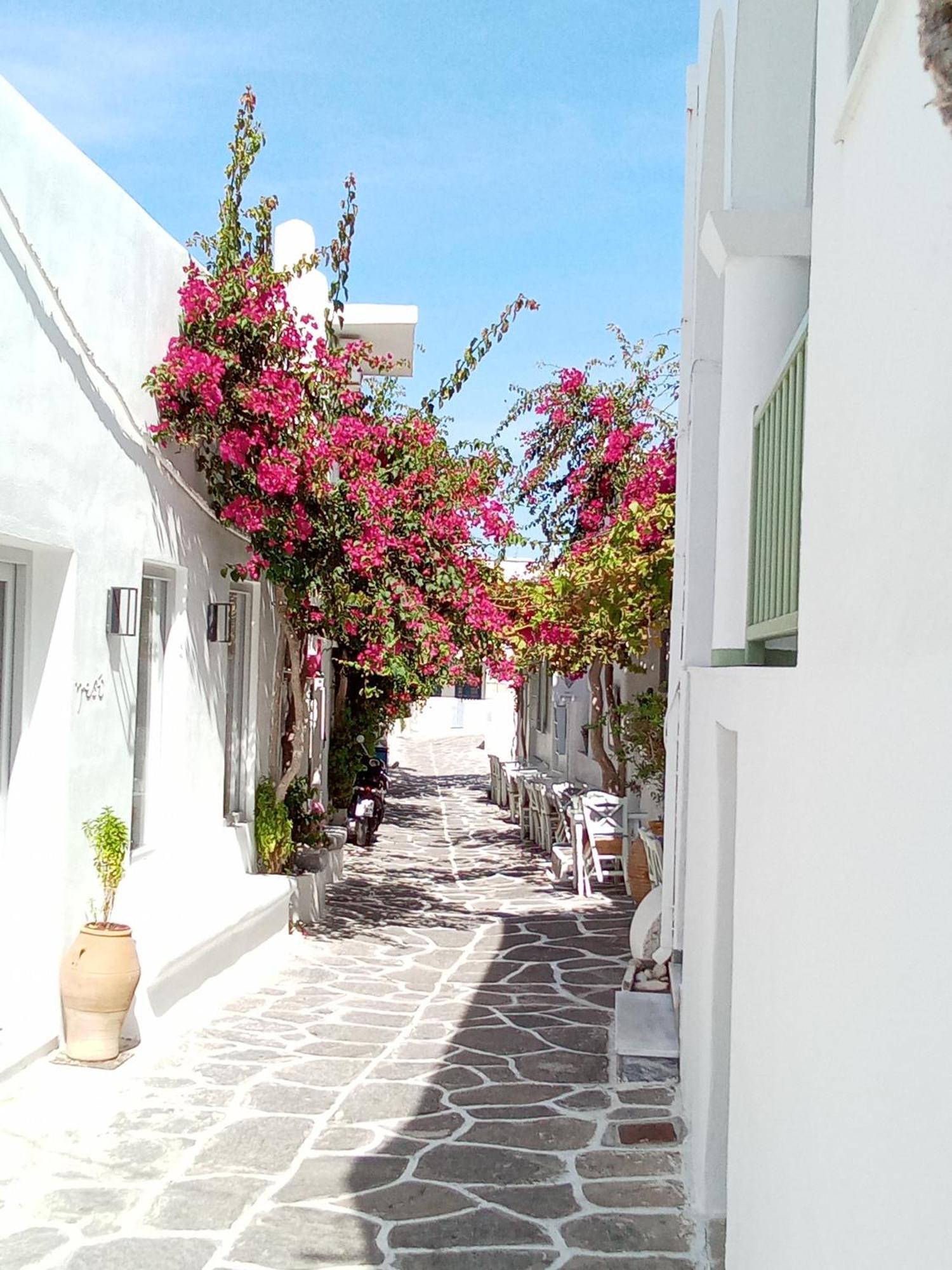 Aparthotel Sunloft-Paros Naoussa Esterno foto